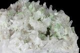 Green Augelite Crystals on Quartz - Peru #173384-3